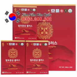 Nước hồng sâm lên men Ginseng King 30 gói 50ml