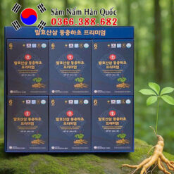 Nước hồng sâm núi Đông trùng Ginseng King 30 gói 50ml Nước hồng sâm núi Đông trùng Ginseng King 30 gói 50ml