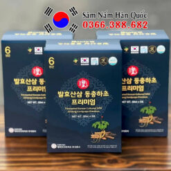 Nước hồng sâm núi Đông trùng Ginseng King 30 gói 50ml Nước hồng sâm núi Đông trùng Ginseng King 30 gói 50ml