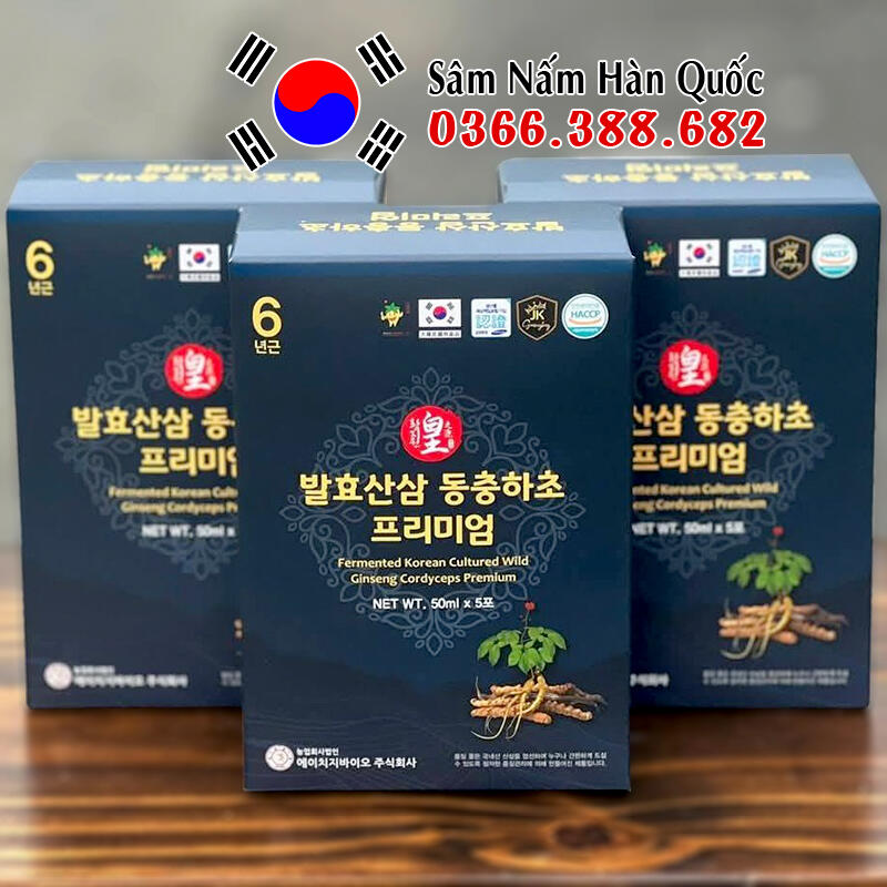 Nước hồng sâm núi Đông trùng Ginseng King 30 gói 50ml Nước hồng sâm núi Đông trùng Ginseng King 30 gói 50ml